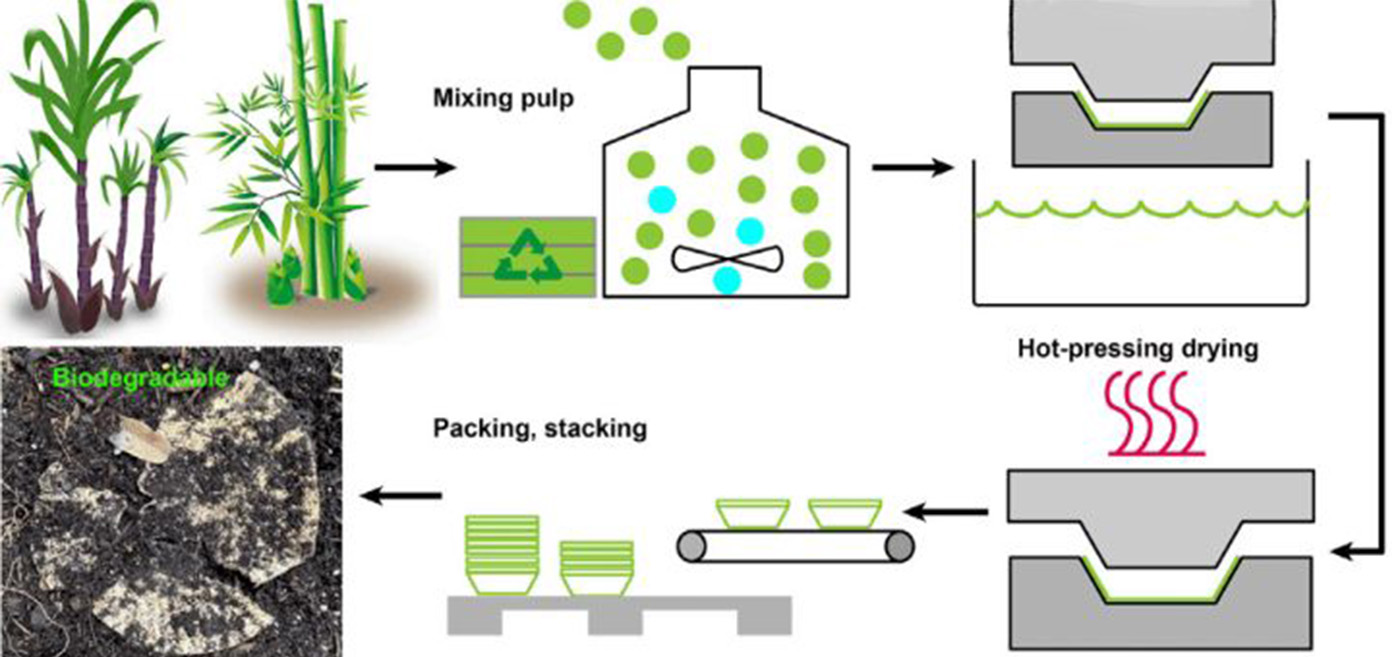 Environmentally Friendly Food-3