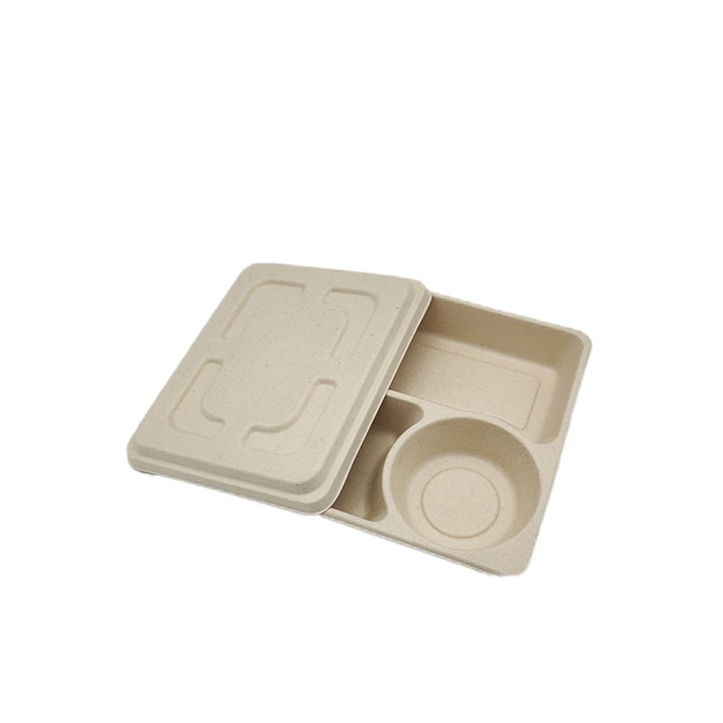 SUGARCANE BAGASSE PRODUCTS 51