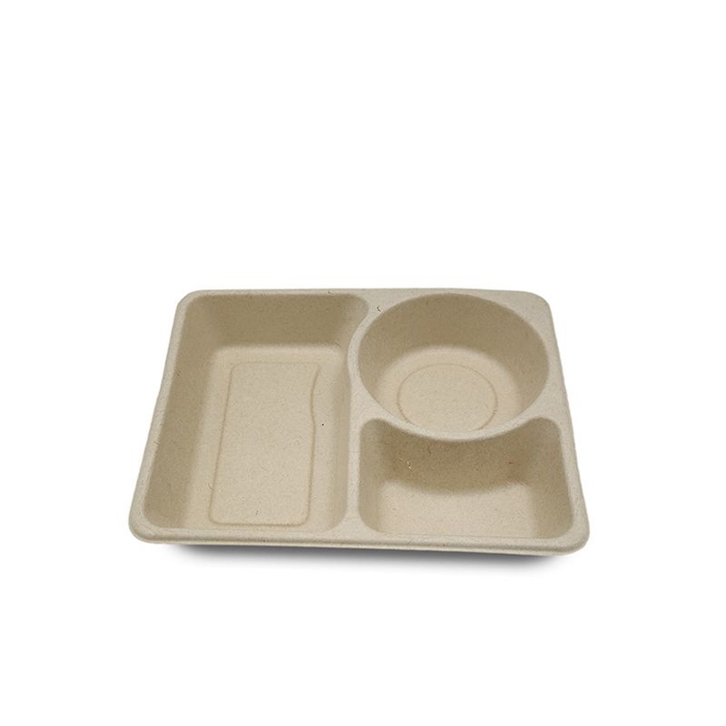 SUGARCANE BAGASSE PRODUCTS 52