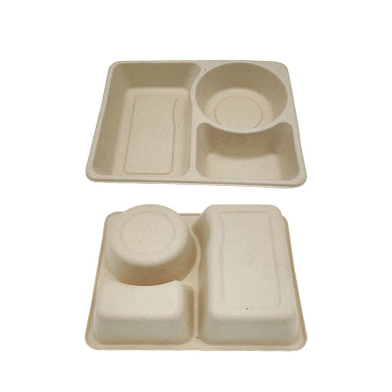 SUGARCANE BAGASSE PRODUCTS 54