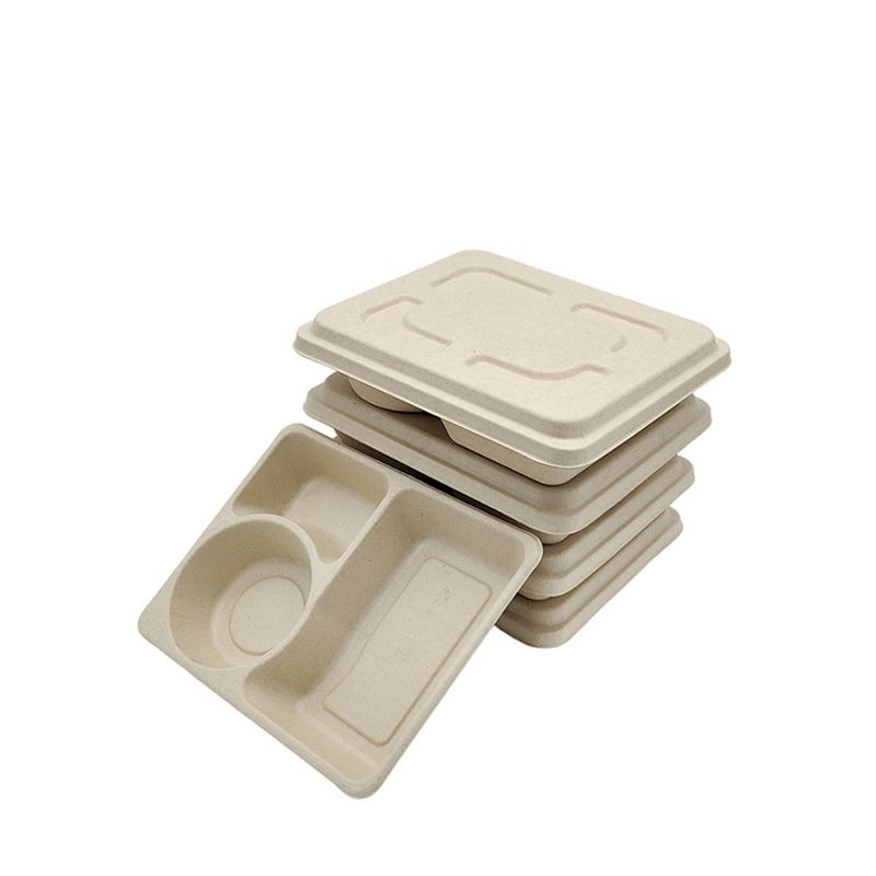 SUGARCANE BAGASSE PRODUCTS 55